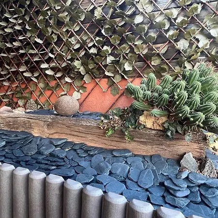 Atico Luminoso Centrico Y Comodo